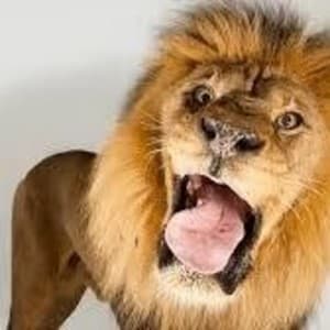 beast_aion