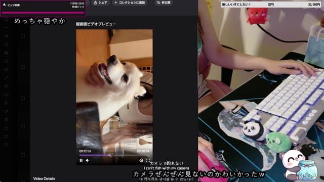 えいむちゃん playing Just Chatting - Live Casino Stream