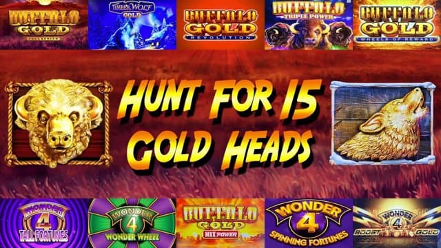 anedube playing Slots - Live Casino Stream