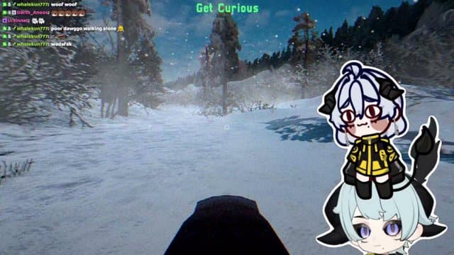 backpackdebbie playing Unusual Tales: After Bark - Live Casino Stream