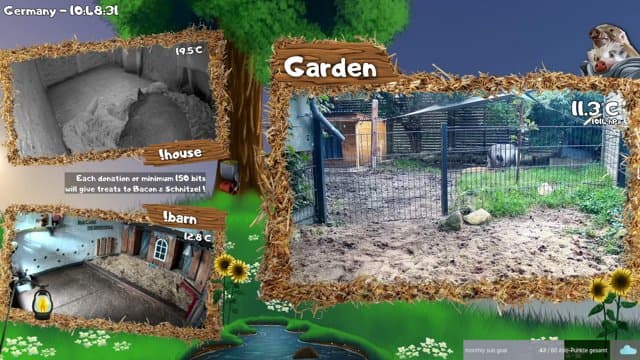 Bacon_und_Schnitzel playing Animals, Aquariums, and Zoos - Live Casino Stream
