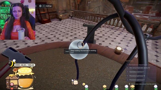 brandyybee playing Just Chatting - Live Casino Stream