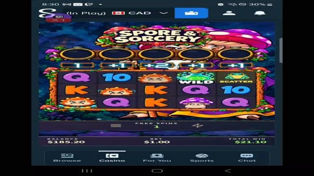 cdog00600 playing Slots - Live Casino Stream