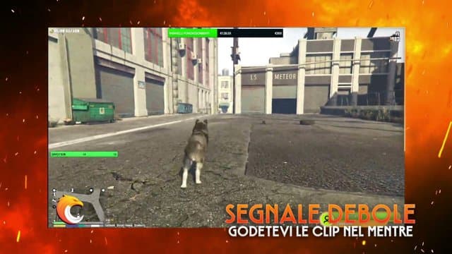 Cedduzzo playing Grand Theft Auto V - Live Casino Stream