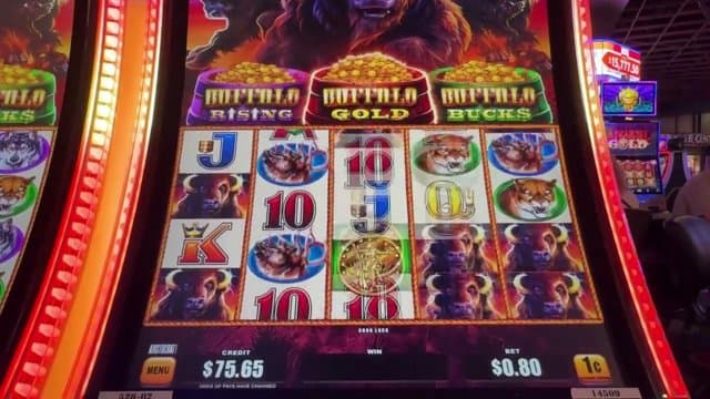 dikuzed playing Slots - Live Casino Stream