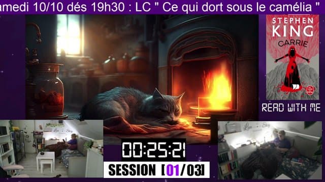 ilestbiencelivre playing Just Chatting - Live Casino Stream