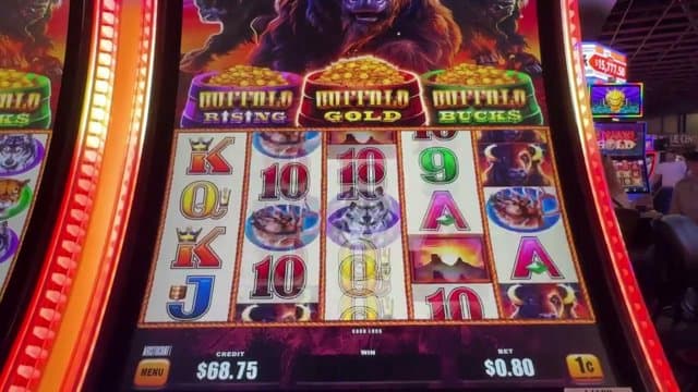 mavyruder playing Slots - Live Casino Stream