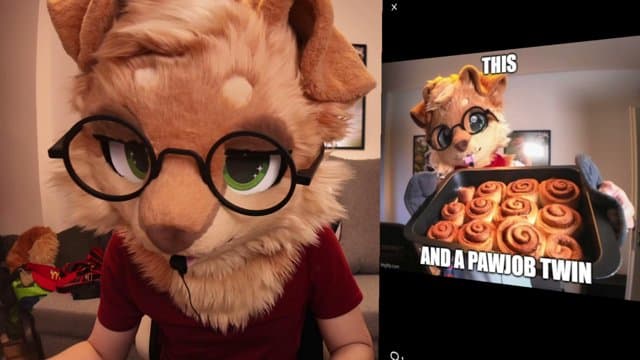 MaxFluffy playing Just Chatting - Live Casino Stream
