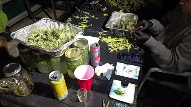 mrsfronkle16 playing Just Chatting - Live Casino Stream
