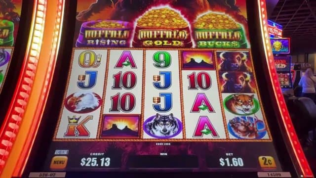 qugiqukon playing Slots - Live Casino Stream