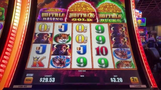 qupyrohi playing Slots - Live Casino Stream