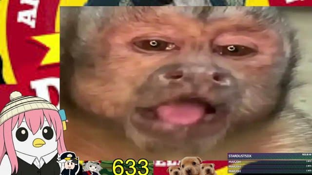 secu playing Just Chatting - Live Casino Stream