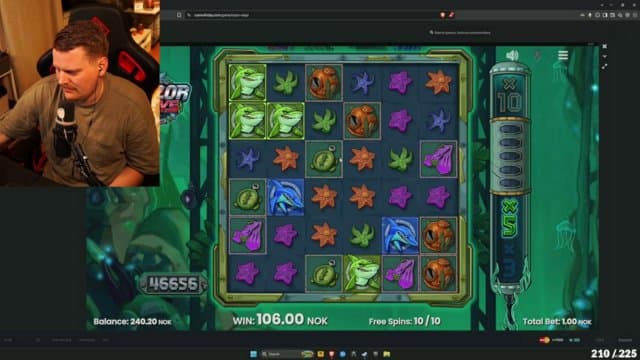 slotspinnkonge playing Slots - Live Casino Stream