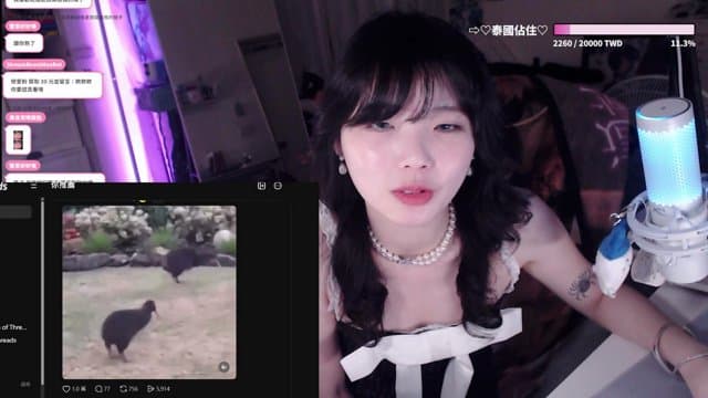 宋運醬 playing Just Chatting - Live Casino Stream