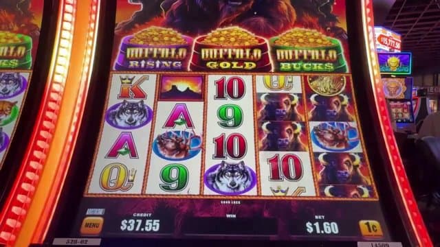 tosyp playing Slots - Live Casino Stream