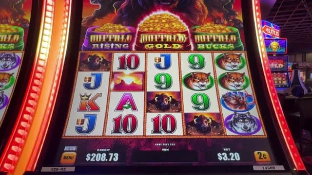 tupebohed playing Slots - Live Casino Stream