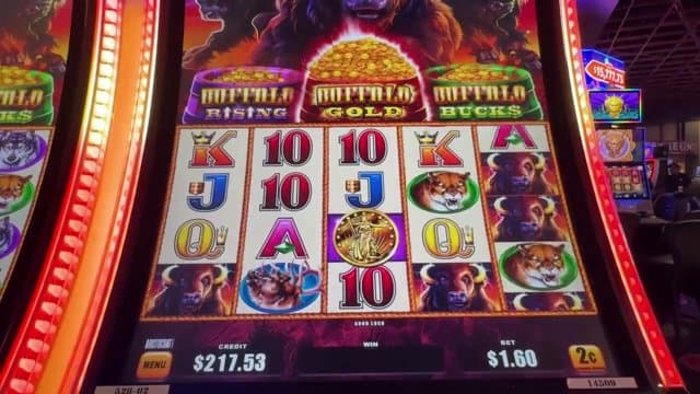 udipalyr playing Slots - Live Casino Stream