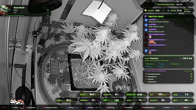 unserioes24 playing Just Chatting - Live Casino Stream