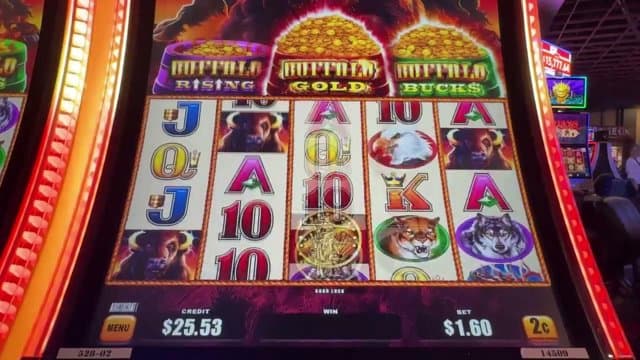 vytozytex playing Slots - Live Casino Stream