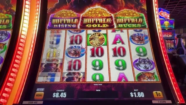 xabeho playing Slots - Live Casino Stream