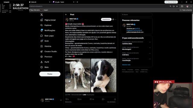 yulla playing Just Chatting - Live Casino Stream