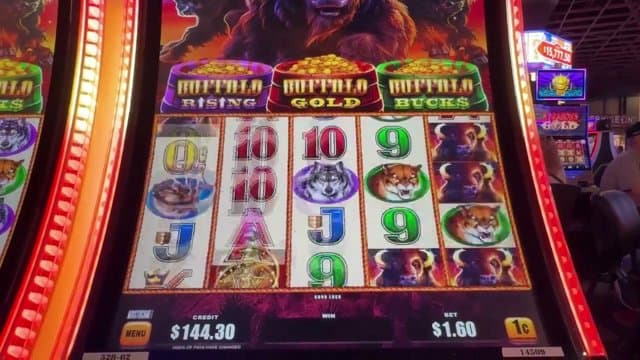 zadysudir playing Slots - Live Casino Stream