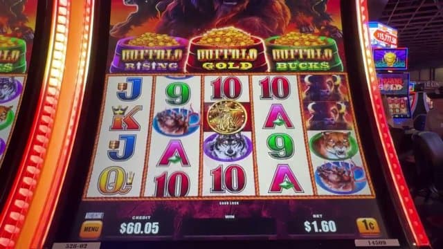 zexicusyl playing Slots - Live Casino Stream