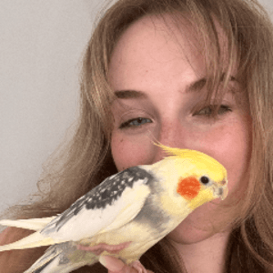 charley_quinzel