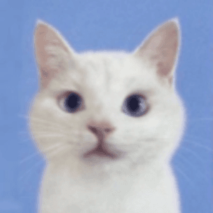 brueing