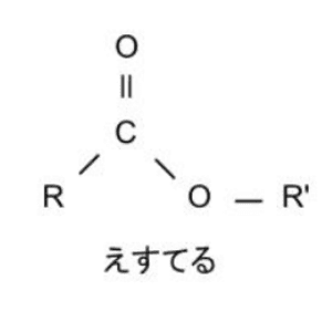 あずまよる