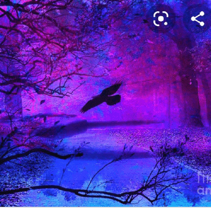 darkraven015