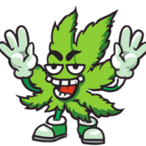 DankyTTV