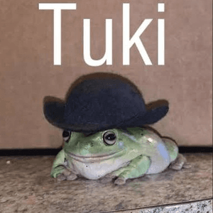 ChamitoKun