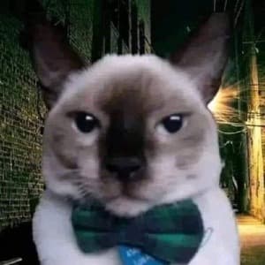 carcar_og