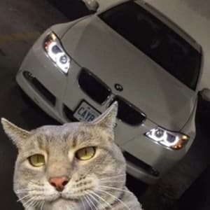 17kleo2