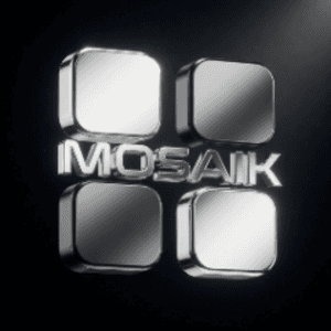 DerMosaik