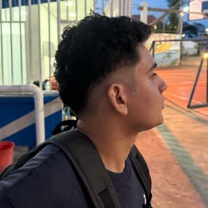 ararique_