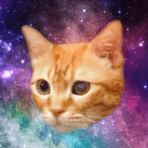 あんこしあん