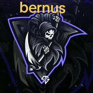 bernus2011