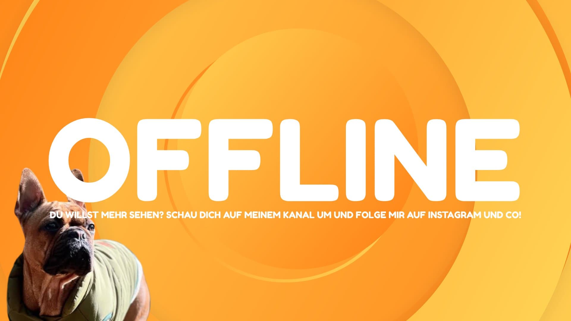 Fynala playing Just Chatting - Live Casino Stream