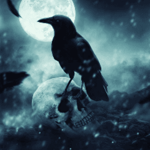Ash_4__