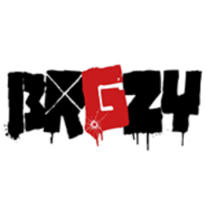 Bagzy_D313