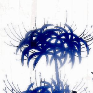 CyanauraVT