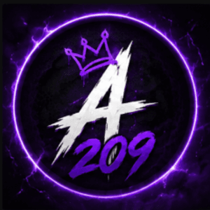 asik209