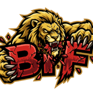 Bifsterr