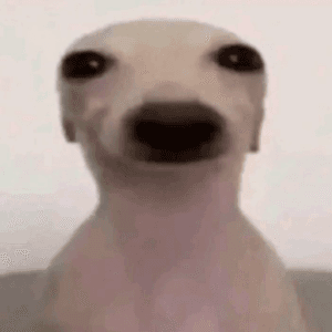 AkaHolguin