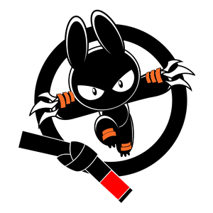 bjjninjabunny