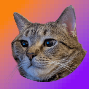 chombopolis