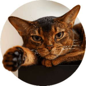 Bers_089