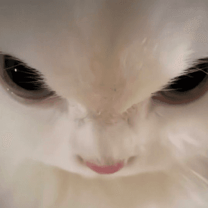 beeziebub